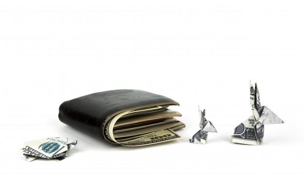 Conseils : Comment choisir un portefeuille ?
