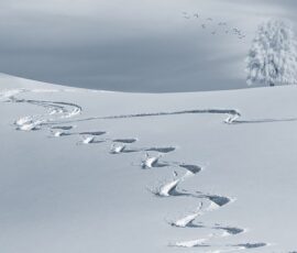 Les avantages des gants et moufles de ski pour profiter pleinement de l’hiver